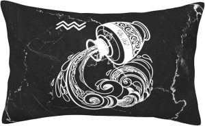 Zodiac Sign Aquarius Pillow Cover Double Sided Plush Square Throw Pillow Cover, for Sofa Bedroom Livingroom Decoration 16"x24" - Aquarius Pillow for men