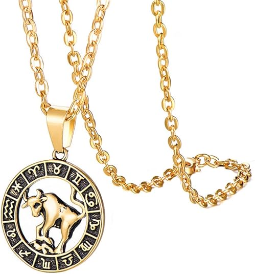HIJONES Women Men's 12 Constellation Horoscope Hollow Pendant Necklace Stainless Steel Birth Star Sign Personalized Pendant Chain Jewelry - Taurus Products for men