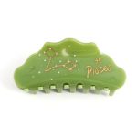 Pisces Zodiac Sign Hair Claw, Green Acetate with Crystals Personalized Acetate Hair Clip for Women Gift 1 Piece - Pisces for men