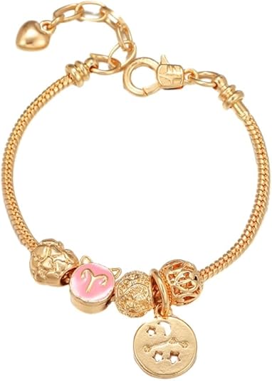 Fashion 12 Constellation Bracelets Personalized Zodiac Sign Symbol Charm Adjustable Creative Bangle,For Women Men Jewelry Accessories Gift - Aries Bracelet for men