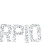 Big Scorpio Energy Banner, Scorpio Birthday Bunting Sign, Horoscope Astrology Theme Party Decorations, 12 Zodiac Theme Birthday Party Decorations Silver Glitter - Scorpio Products for men