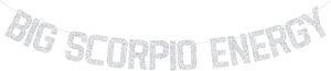 Big Scorpio Energy Banner, Scorpio Birthday Bunting Sign, Horoscope Astrology Theme Party Decorations, 12 Zodiac Theme Birthday Party Decorations Silver Glitter - Scorpio Products for men