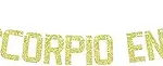 Big Scorpio Energy Banner, Scorpio Birthday Bunting Sign, Horoscope Astrology Theme Party Decorations, 12 Zodiac Theme Birthday Party Decorations Gold Glitter - Scorpio Products for men