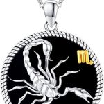 12 Constellation Necklace 925 Sterling Silver Zodiac Sign Coin Pendant Necklaces Black Onyx Astrology Horoscope Jewelry Birthday Gifts for Women Men - Scorpio Products for men