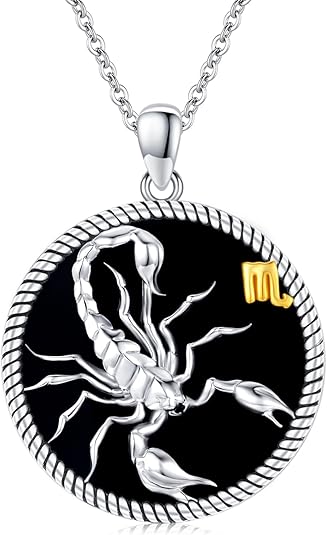 12 Constellation Necklace 925 Sterling Silver Zodiac Sign Coin Pendant Necklaces Black Onyx Astrology Horoscope Jewelry Birthday Gifts for Women Men - Scorpio Products for men