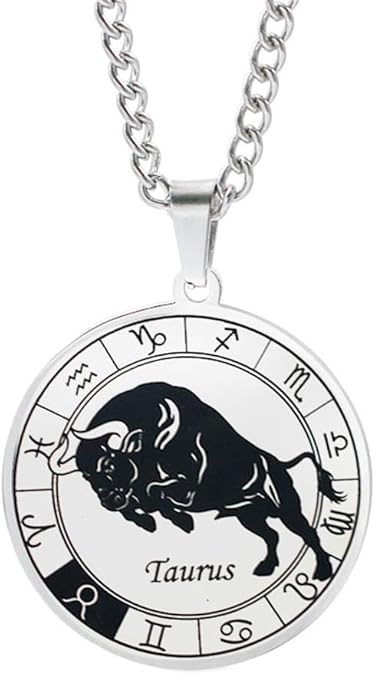 PAMTIER Women Men Stainless Steel Zodiac Constellation Pendant Necklace Round Disc Horoscope Sign Lucky Charm with Chain Birthday Gift - Taurus Products for men