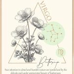 Zodiac Signs Poster Wall Art, Virgo Gifts for Women, August 23 – September 22 Birthday Gifts, Astrology Wall Art Prints for Bedroom, Bathroom, Living Room Decor (Unframed) - Virgo Poster for men