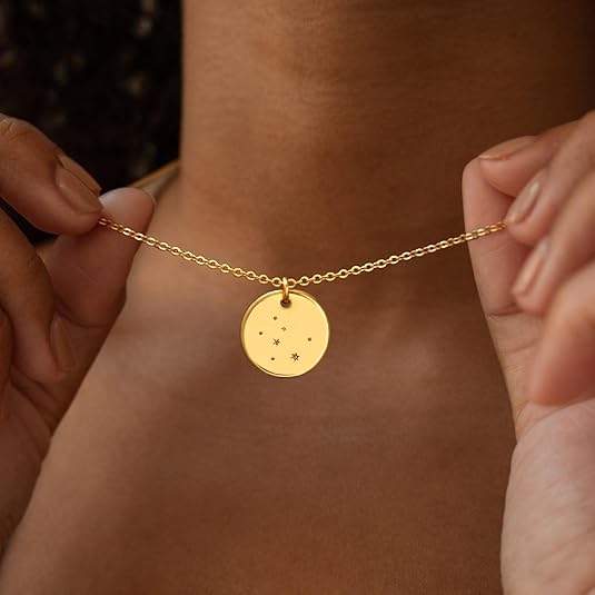 Gold Necklace Coin Disc Zodiac 12 Constellation Star Engraved Horoscope Sign Astrology Pendant 14K Gold Plated Chain Dainty Gold Personalized Simple Jewelry - Taurus for men