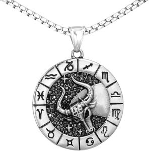 Men's Women's Stainless Steel Micro Pave CZ Creative 12 Constellations Signet Zodiac Pendant Necklace Horoscope Jewelry - Taurus Products for men