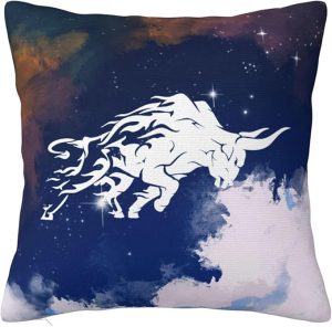 Zodiac Sign Taurus Throw Pillow Cover (1 Piece) Sofa Living Room Bedroom Cushion Cover Decorative Pillow Cover 20"x20" - Taurus Pillow for men