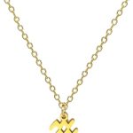 BlingNuts - Aquarius Necklace for men