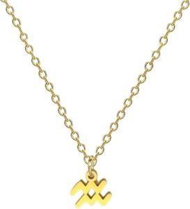 BlingNuts - Aquarius Necklace for men