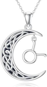PROESS Zodiac Necklace 925 Sterling Silver 12 Constellations Pendant Necklace Horoscope Sign Necklaces Jewelry Presents for Women Men - Taurus Products for men