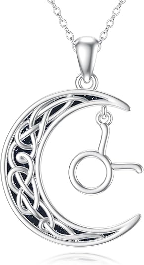 PROESS Zodiac Necklace 925 Sterling Silver 12 Constellations Pendant Necklace Horoscope Sign Necklaces Jewelry Presents for Women Men - Taurus Products for men