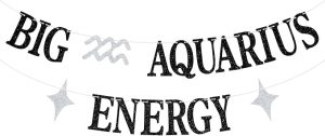 Big Aquarius Energy Banner, Aquarius Birthday Decor, Aquarius Season, Horoscope Astrology Decorations, 12 Constellation Zodiac Birthday Party Supplies - Aquarius Pillow for men