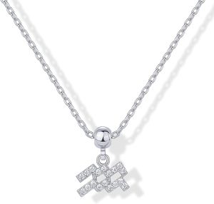 PAVOI - Aquarius Necklace for men