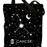 Women Gifts for Birthday Astronomy Zodiac Gift Constellation Canvas Bag for Woman - Pisces for men