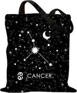 Women Gifts for Birthday Astronomy Zodiac Gift Constellation Canvas Bag for Woman - Pisces for men
