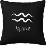 Aquarius Sign Pillow Cover Double Sided Plush Square Throw Pillow Cover, for Sofa Bedroom Livingroom Decoration 12"x12" - Aquarius Pillow for men