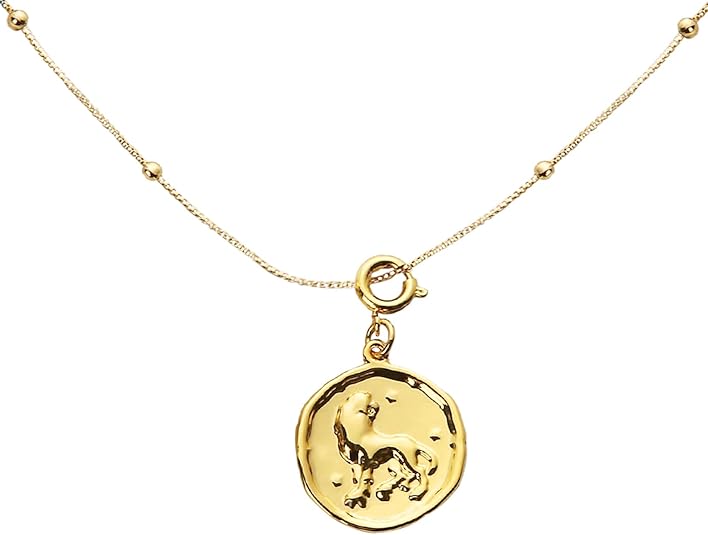 Dlismno - Leo Necklace for men