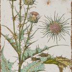 Thistle Metal Tin Sign Art Nouveau Flower Art Print Art Nouveau Flowers Botanical Poster Novelty Retro Vintage Auto License Plate Tin Sign For Home Pub Bar Decor Each Warning Sign Metal Tin 8x5.5 Inch - Pisces Home Decor for men