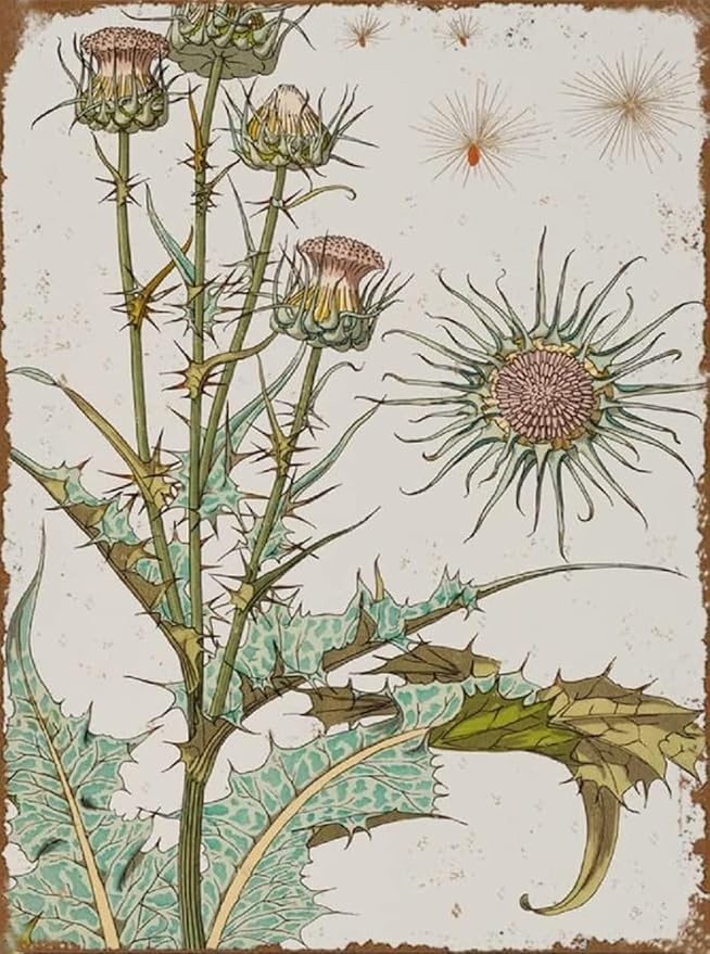 Thistle Metal Tin Sign Art Nouveau Flower Art Print Art Nouveau Flowers Botanical Poster Novelty Retro Vintage Auto License Plate Tin Sign For Home Pub Bar Decor Each Warning Sign Metal Tin 8x5.5 Inch - Pisces Home Decor for men