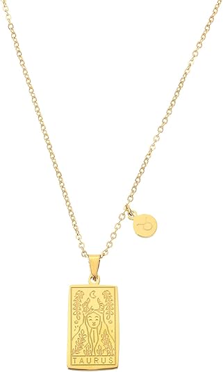 uxcell Tarot Zodiac Sign Necklace, Titanium Steel Tarot Card Aquarius Necklaces for Women Men - Taurus Products for men