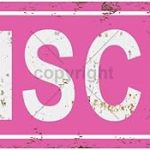 Pisces Star Sign Zodiac Sign Vintage Metal Tin Sign, Street Sign, Home Decor, Room Decor, Wall Decor, Bathroom Decor, Bar Decor, Cafe Decor, Garage Decor, 16 x 4 Inch - Pisces Home Decor for men