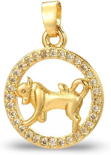 Generic - Taurus Earrings for men