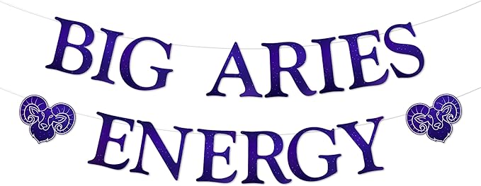 Funmemoir Big Aries Energy Banner - Pre-Strung Aries Zodiac Sign & Constellation Birthday Party Decorations - Astrology Themed Wall Hanging for Men & Women Celebrations - Aries Poster for men