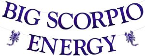 Funmemoir Big Scorpio Energy Banner - Pre-Strung Scorpio Zodiac Sign & Constellation Birthday Party Decorations - Astrology Themed Wall Hanging for Men & Women Celebrations - Scorpio Canvas for men