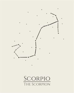 12 Zodiac Signs Wall Art Print, Astrology Decor for Home, Bedroom, Living Room, Office, 8x10 Unframed Poster Print, Scorpio Horoscope Constellation Design, Celestial and Mystic Aesthetic Gift - Scorpio Canvas for men