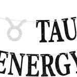 Big Taurus Energy Banner, Taurus Baddie, Taurus Birthday Bunting Sign, 12 Constellation Zodiac Birthday Party Decorations - Taurus Products for men