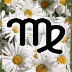 Daisy Flower Funny Sign Virgo the virgin symbol Aug 23-Sept 22 zodiac sign astrology Hanging Wall Sign 8 x 12 Decor Funny Gift - Virgo Poster for men