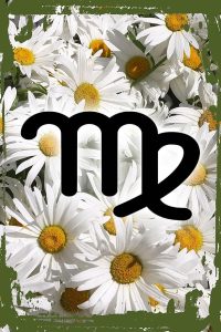 Daisy Flower Funny Sign Virgo the virgin symbol Aug 23-Sept 22 zodiac sign astrology Hanging Wall Sign 8 x 12 Decor Funny Gift - Virgo Poster for men