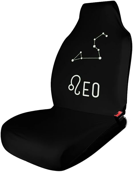 Leo Constellation Funny Car Seat Cover Front Seats Protector Interior Accessories Universal Unisex 1PCS - Aquarius Car Seat Cover for men