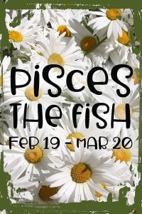 Daisy Flower Wall Sign Pisces the fish feb 19-mar 20 funky zodiac sign astrology Hanging Wall Sign 8 x 12 Decor Funny Gift - Pisces Canvas for men
