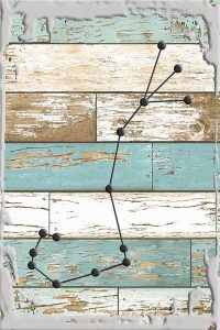 Scorpio the scorpion star map Oct 23-Nov 21 zodiac sign astronomy White Wall Sign Decor Funny Gift - Scorpio Canvas for men