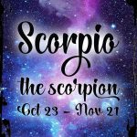 Galaxy Inspirational Wall Sign Scorpio the scorpion Oct 23-Nov 21 cursive zodiac sign astrology Metal Wall Sign Decor Funny Gift - Scorpio Canvas for men