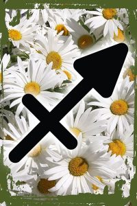 Daisy Flower Wall Sign Sagittarius symbol the archer fire Nov 22-Dec 21 zodiac astrology Hanging Wall Sign 8 x 12 Decor Funny Gift - Sagittarius Home Decor for men