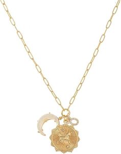 Zodiac Necklaces for Women,14K Gold Zodiac Sign Coin Necklace with Opal Crescent Moon 12 Constellation Astrology - Taurus Products for men