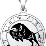 Necklaces 12 Constellation Signs Zodiac Astrology Pendant Medaillon Stainless Steel Jewelry Gifts for Men and Women Birthday - Taurus Products for men