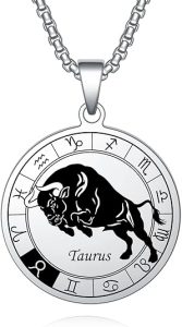 Necklaces 12 Constellation Signs Zodiac Astrology Pendant Medaillon Stainless Steel Jewelry Gifts for Men and Women Birthday - Taurus Products for men