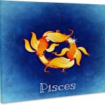 3dRose, Pisces Zodiac Sign, Museum Grade Canvas Wrap 14x11 - Pisces Canvas for men
