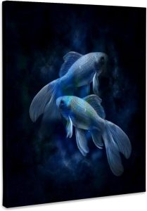 3dRose, Image of Blue Pisces Sign For February And March, Museum Grade Canvas Wrap 11x14 - Pisces Canvas for men