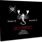 3dRose, Zodiac symbol Scorpio on black background, Museum Grade Canvas Wrap 10x8 - Scorpio Canvas for men