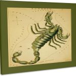 3dRose, Print of Vintage Scorpio Astrological Sign, Museum Grade Canvas Wrap 14x11 - Scorpio Canvas for men
