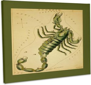 3dRose, Print of Vintage Scorpio Astrological Sign, Museum Grade Canvas Wrap 14x11 - Scorpio Canvas for men