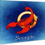 3dRose, Scorpio Zodiac Sign, Museum Grade Canvas Wrap 14x11 - Scorpio Canvas for men