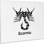 3dRose, Scorpio Sign, Museum Grade Canvas Wrap 14x11 - Scorpio Canvas for men